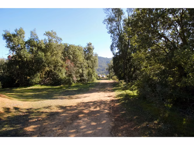 Vivabien Vende ¡Oasis de paz en Colliguay!