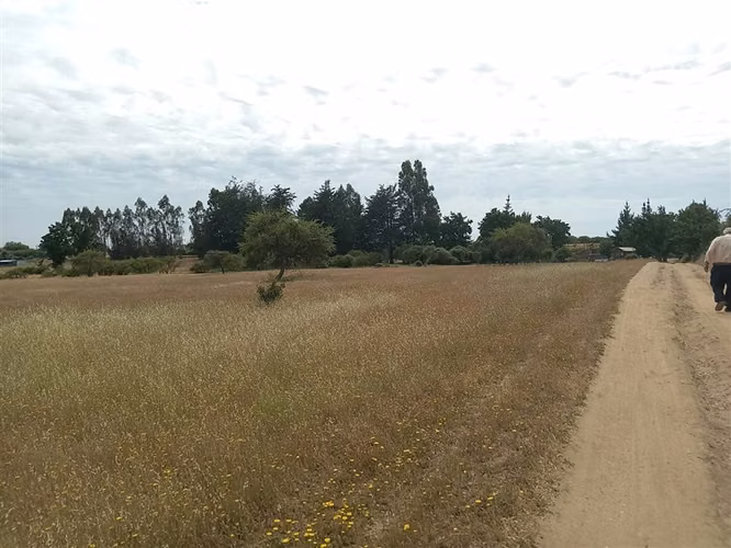 Venta Parcela Plana 6,3 has C/Casa ruta I-148 en Litueche - Imagen 3