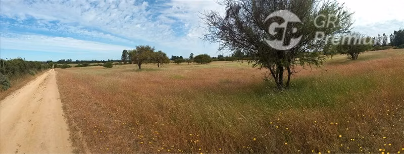 Venta Parcela Plana 6,3 has C/Casa ruta I-148 en Litueche