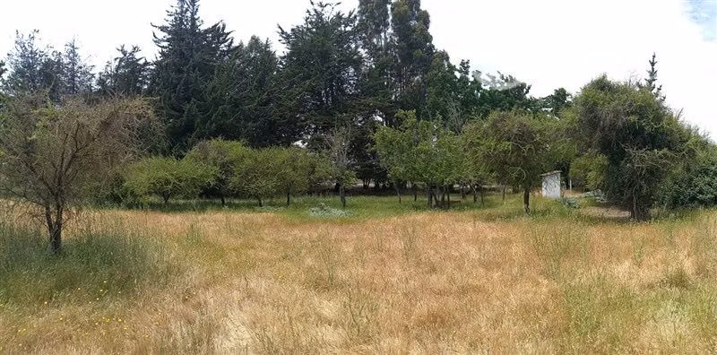 Venta Parcela Plana 6,3 has C/Casa ruta I-148 en Litueche - Imagen 6