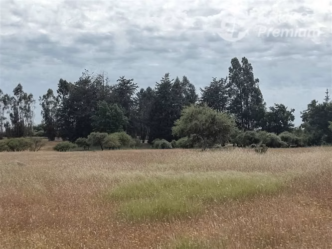 Venta Parcela Plana 6,3 has C/Casa ruta I-148 en Litueche - Imagen 16