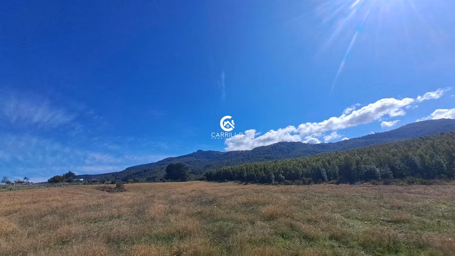 VENDEMOS PARCELA DE 9000 MTS EN PUMALAL - Imagen 3
