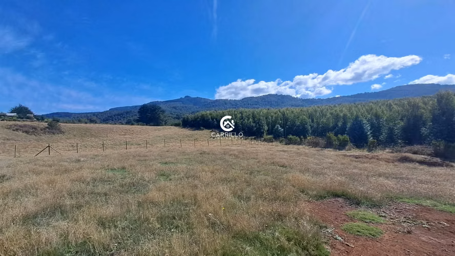 VENDEMOS PARCELA DE 9000 MTS EN PUMALAL - Imagen 5