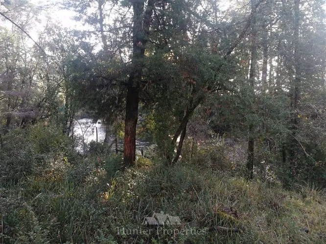 Parcela en venta en Villarrica - Loncoche - Imagen 33