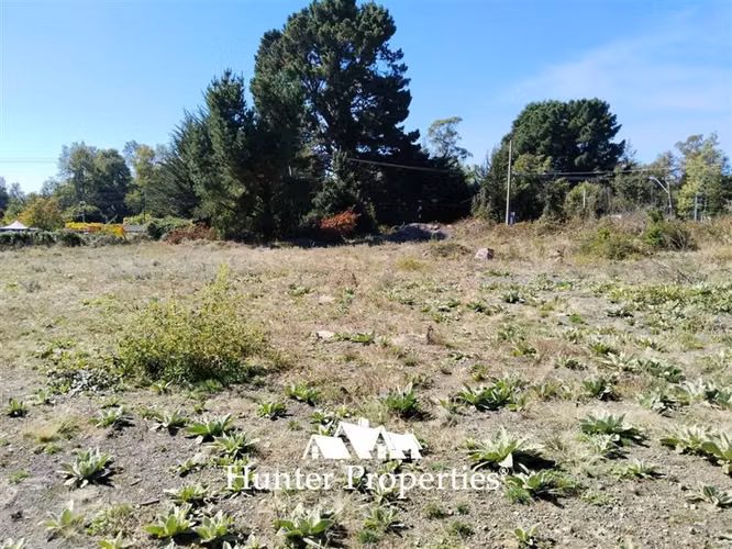 Parcela en venta, cam. Villarrica- Pucón - Imagen 25