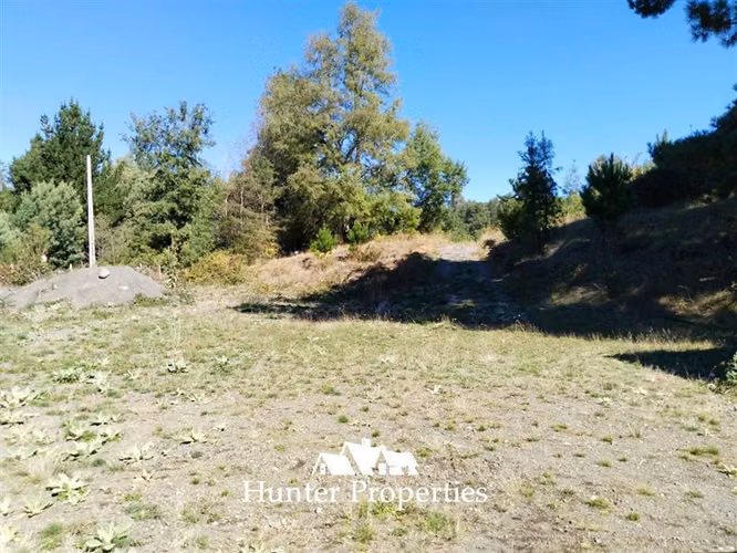 Parcela en venta, cam. Villarrica- Pucón - Imagen 16