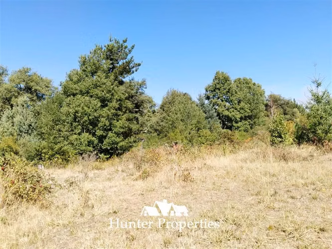 Parcela en venta, cam. Villarrica- Pucón - Imagen 11