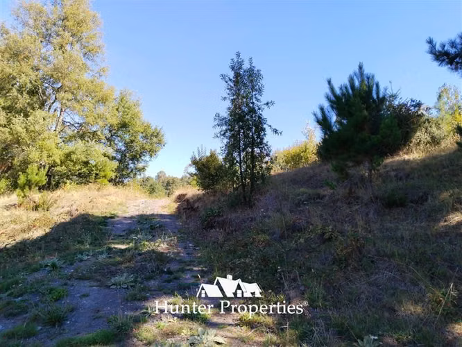 Parcela en venta, cam. Villarrica- Pucón - Imagen 9