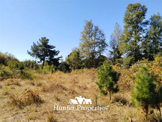 Parcela en venta, cam. Villarrica- Pucón - Imagen 20