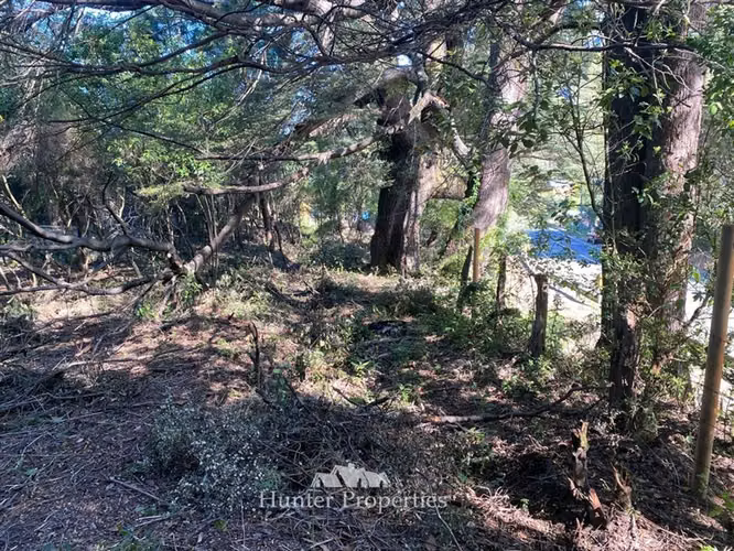 Parcela en venta en Pucón - Imagen 10