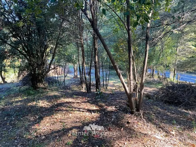 Parcela en venta en Pucón - Imagen 12