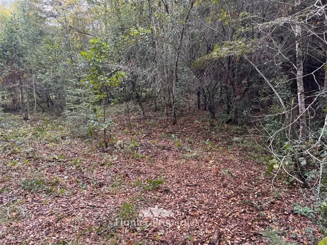 Parcela en venta en Pucón - Imagen 4