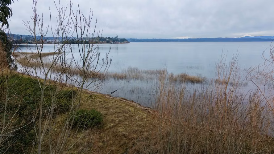 Arriendo Año Corrido · Cabaña Nueva 2D/1B en 4 Há de Bosque con Acceso Privado al Lago Llanquihue