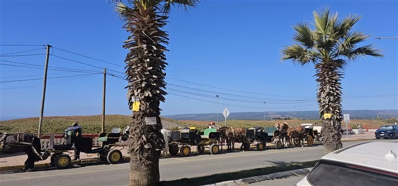 Parcela en venta en Pichilemu - Imagen 35