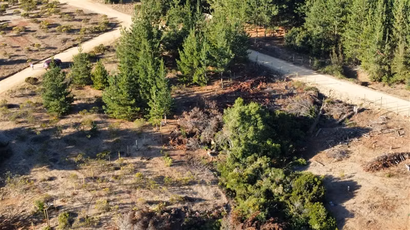 Parcela en venta en Pichilemu - Imagen 20