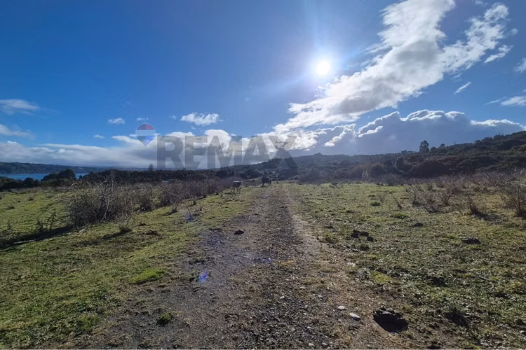 Parcela 6900 m2 en curaco de velez-chiloe - Imagen 3