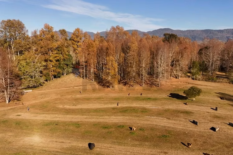 Venta terreno 1 hectárea villarrica -pucón