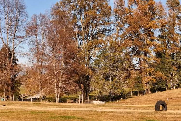Venta terreno 1 hectárea villarrica -pucón