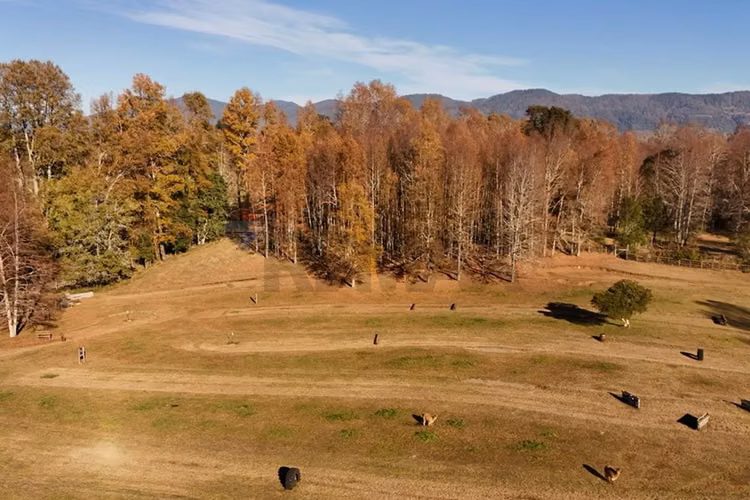 Venta terreno 1 hectárea villarrica -pucón