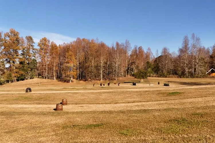 Venta terreno 1 hectárea villarrica -pucón