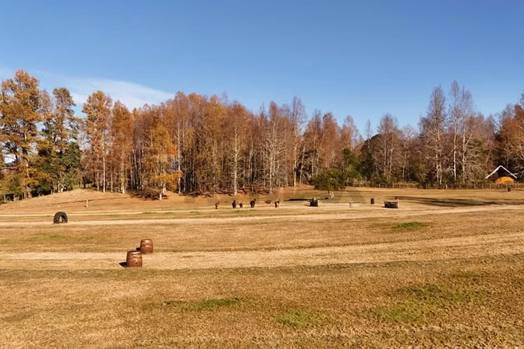 Venta terreno 1 hectárea villarrica -pucón