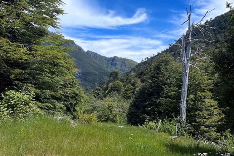 Campo en venta en pucón 200 hectáreas