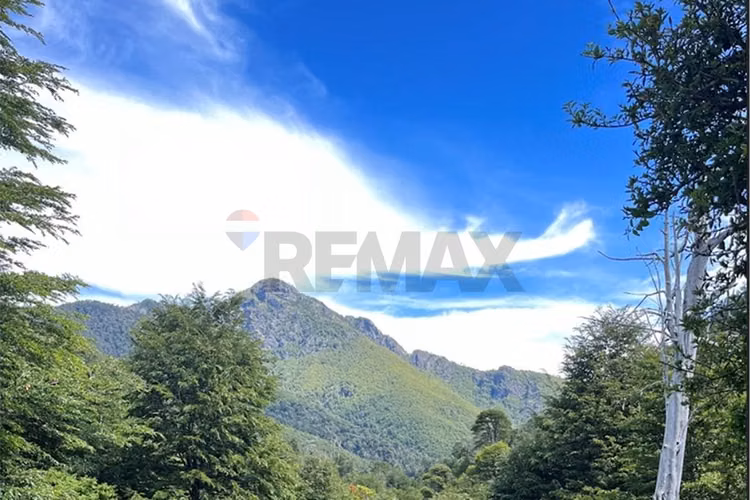 Campo en venta en pucón 200 hectáreas