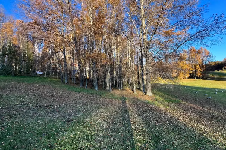 Venta parcela 5.020 m² en el mañío