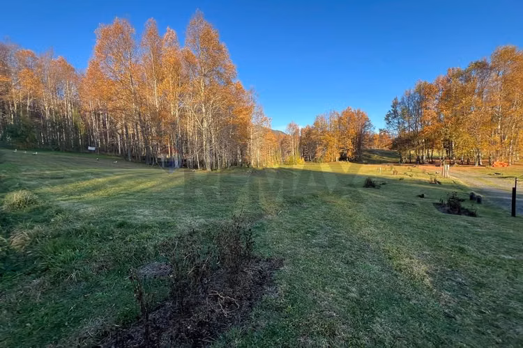 Venta parcela 5.020 m² en el mañío