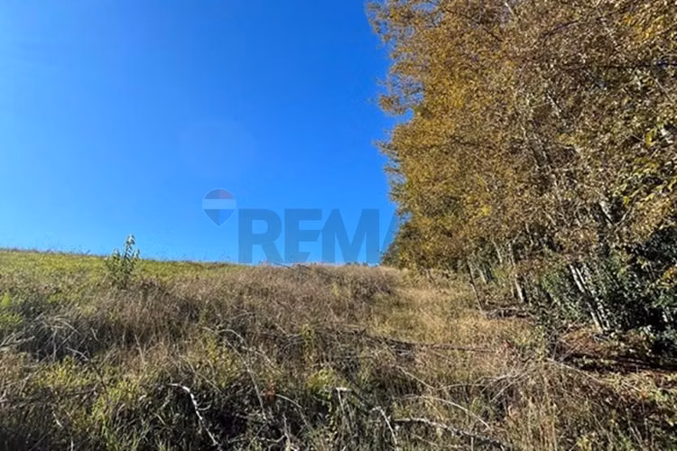 Venta terreno 5.164 m² con vista al volcán