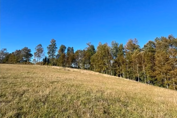 Venta terreno 5.164 m² con vista al volcán