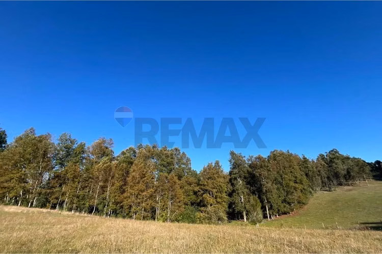 Venta terreno 5.164 m² con vista al volcán