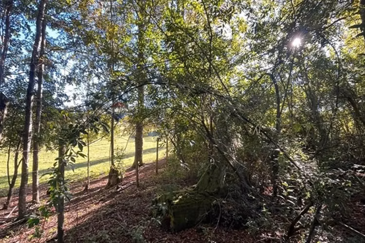 Venta terreno 5.164 m² con vista al volcán