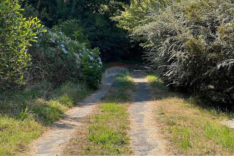 Venta terreno con vista y acceso a lago pucón - Imagen 13