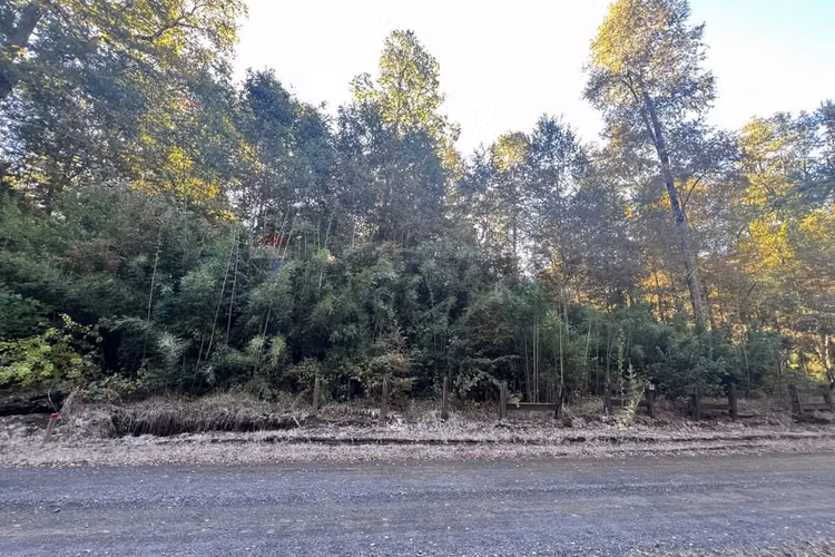 Venta parcela 5.009 m² cercana al río trancura