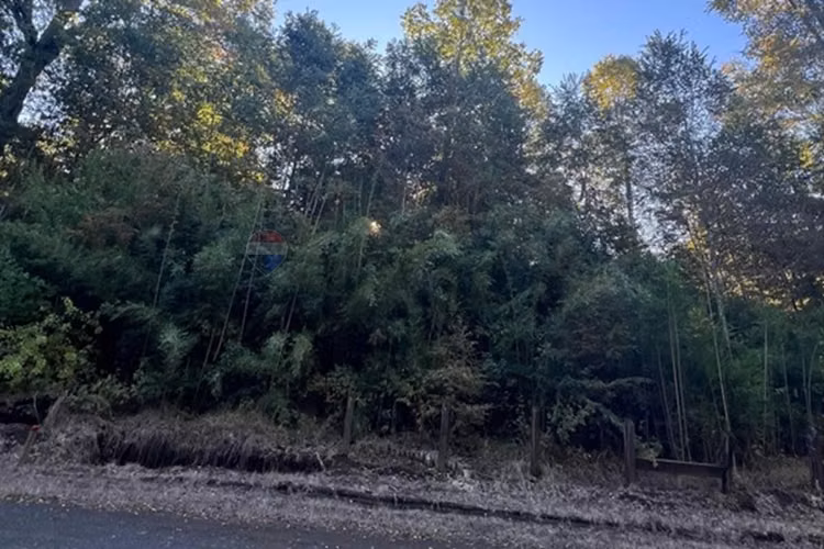 Venta parcela 5.009 m² cercana al río trancura