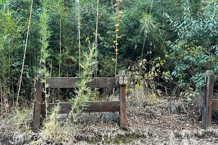 Venta parcela 5.009 m² cercana al río trancura