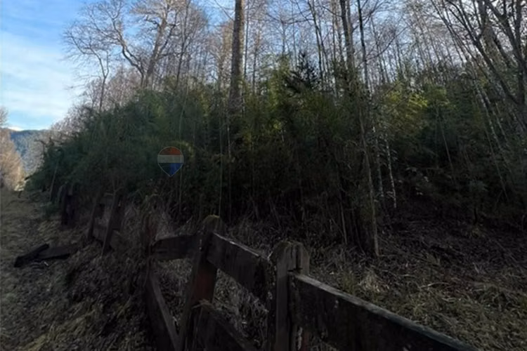 Venta parcela 5.009 m² cercana al río trancura