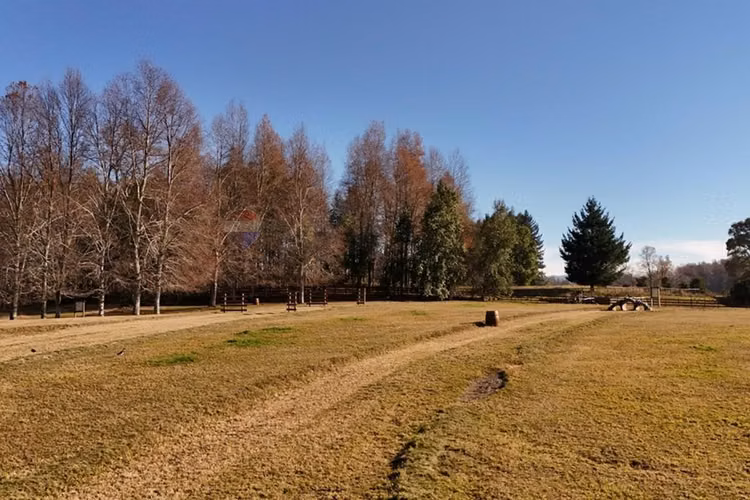 Venta terreno 5.000 mts2 villarrica -pucón