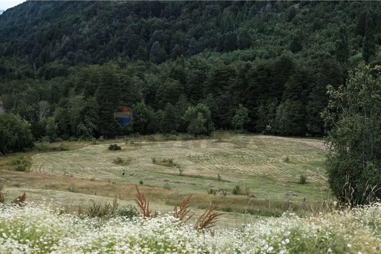 Venta campo 206 ha  cochamó lago las rocas