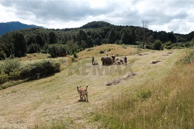 Venta campo 206 ha  cochamó lago las rocas