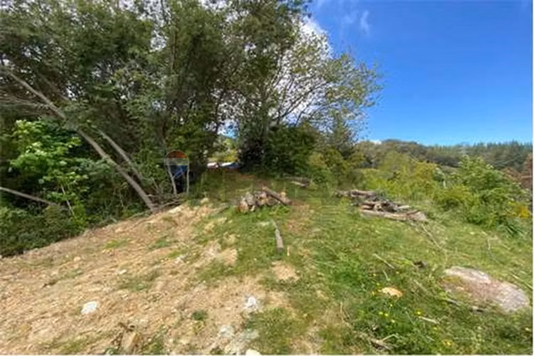 Venta parcela 5000 mts2 valdivia