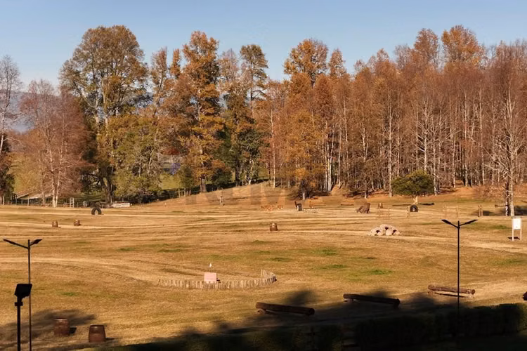 Venta terreno 2,5 hectáreas villarrica - pucón