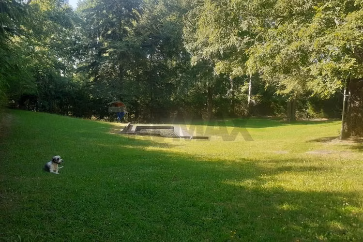 Venta casa con cabaña en huife pucón