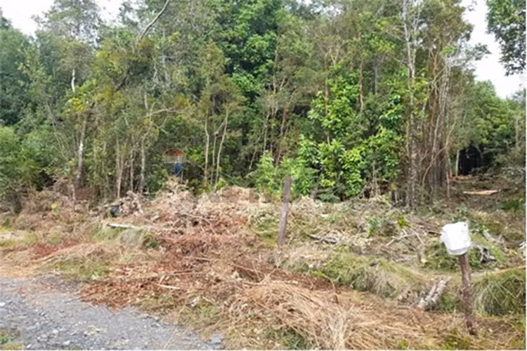 Venta parcela en riñinahue, lago ranco