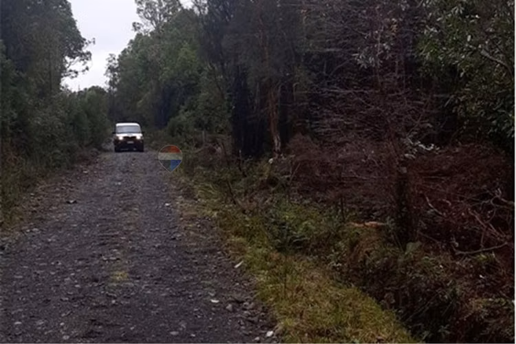 Venta parcela en riñinahue, lago ranco