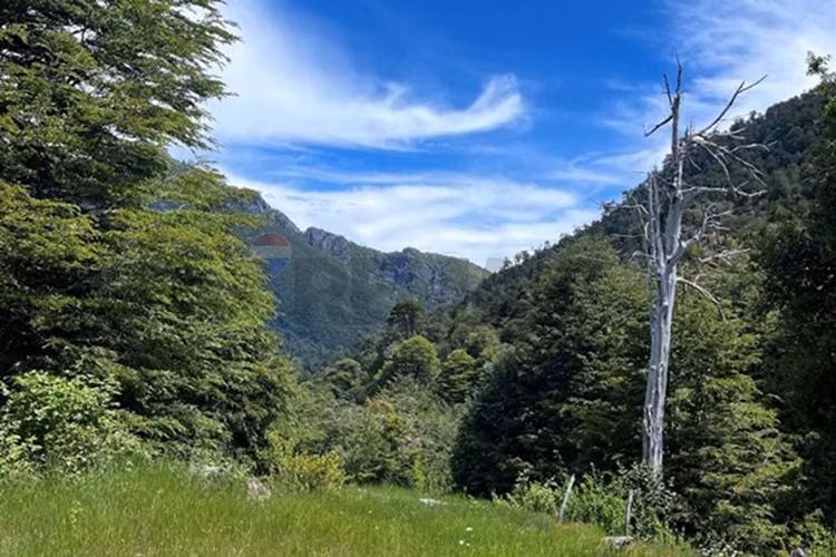 Campo en venta en pucón 300 hectáreas - Imagen 16