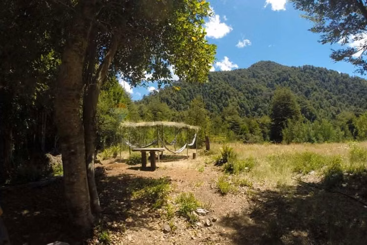 Campo en venta en pucón 300 hectáreas - Imagen 10