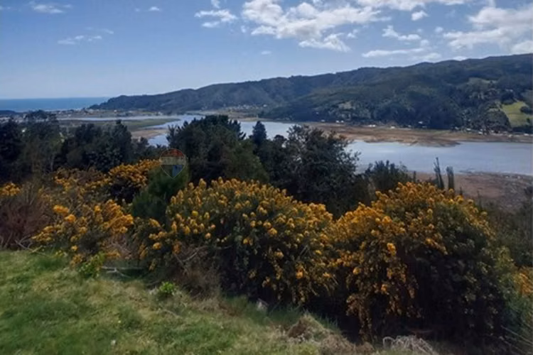 Venta de refugio natural en mehuin