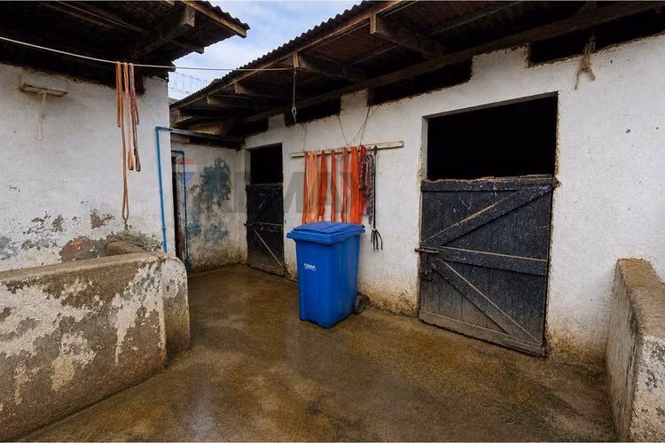 Venta propiedad comercial | caballeriza - Imagen 9